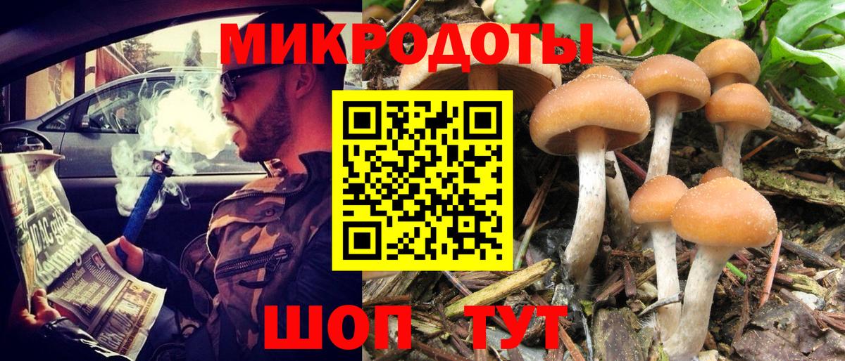 Псилоцибиновые грибы ЛСД  Псилоцибиновые грибы GOLDEN TEACHER  Вход с VPN  Калач-на-Дону 
