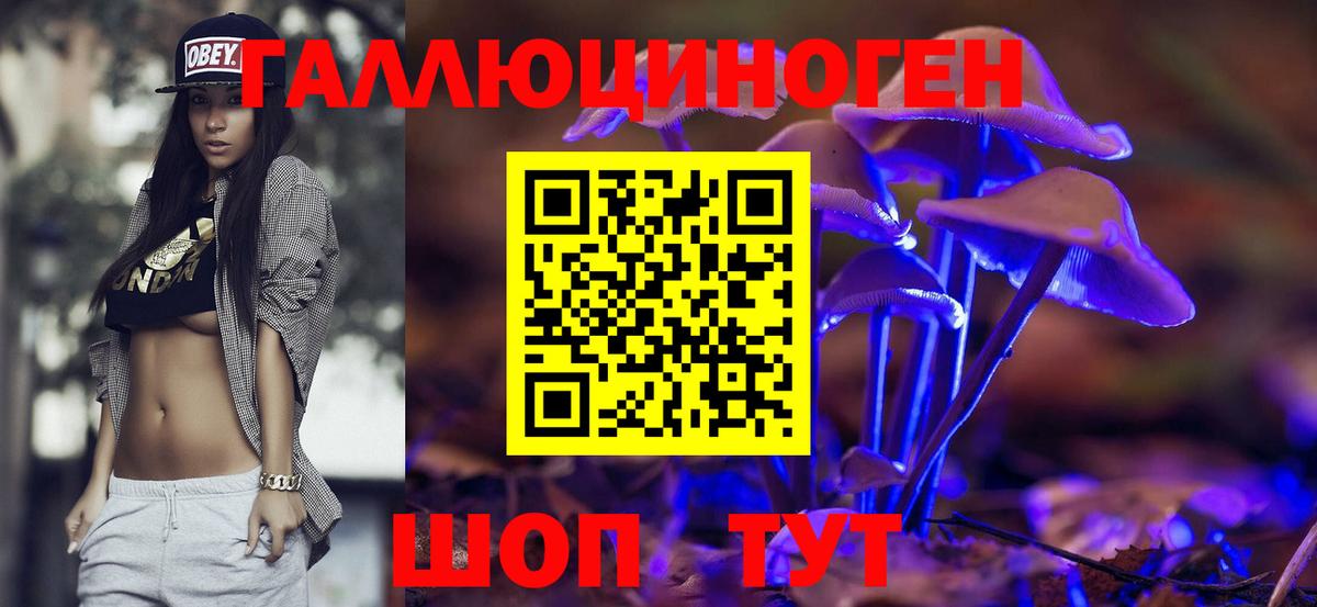 Псилоцибиновые грибы Cubensis Калач-на-Дону